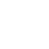Icon livreBlanc2
